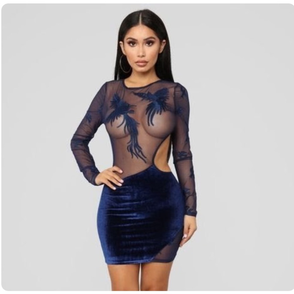 COPY - Fashion Nova mesh dress